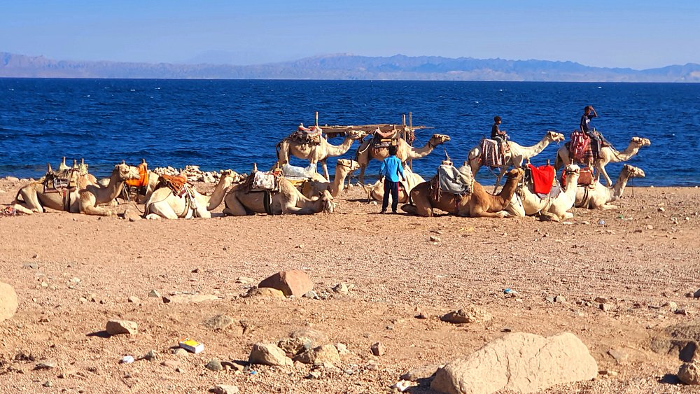 Дахаб дискавери 4 в 1 из Шарма