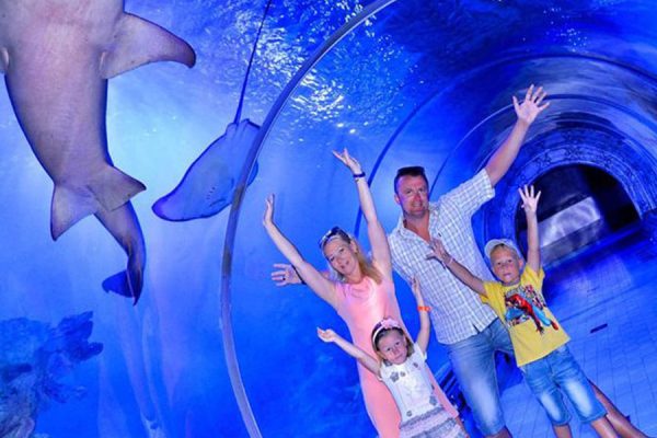 Hurghada Grand Aquariu Egypt Tours Portal Rmxpe91j3ducr1eze3ug3w1i99ebt6lfvrrls3bv6o