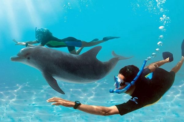 Dolphin House Hurghada 5 Rmxlty2m7i7bz7saln9qr9mf5tsn4j8g8pzlidkgio