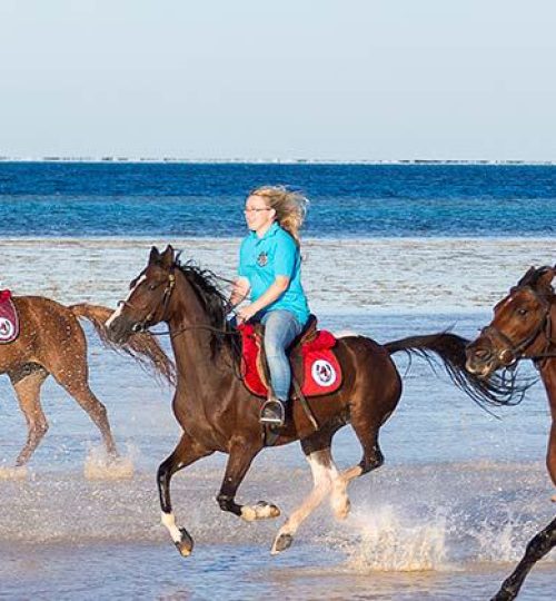 horse-ride-850-420_lg