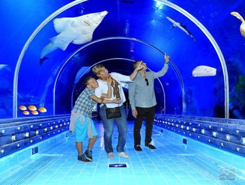 Hurghada Grand Aquarium