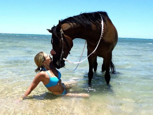 Équitation à Hurghada