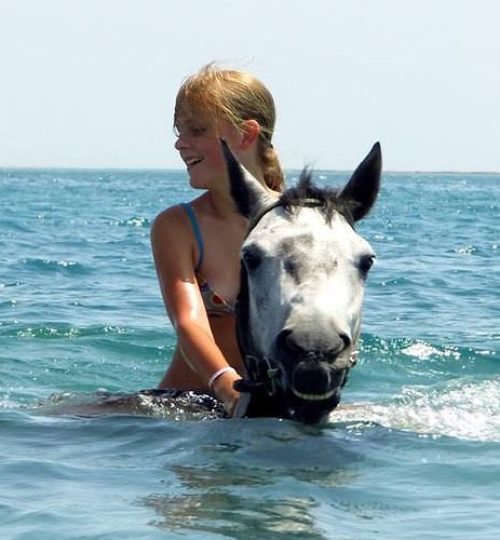 pferde-reiten.32_2c80c_lg